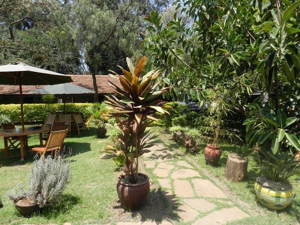 Hibiscus Guest House Nairobi Extérieur photo